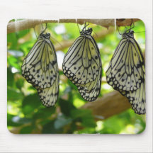 Emerging From Cocoons Mouse Pad