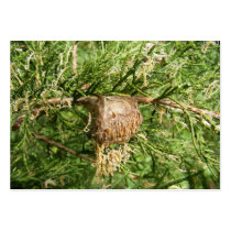 Emerging Mantis ~ ATC card business cards by Andy2302 Emerging Mantis ~ ATC card business cards
