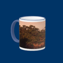 Emerson Point mugs