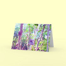 Emerson Point Knobbies cards