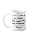 Emerson Quote 2a mugs