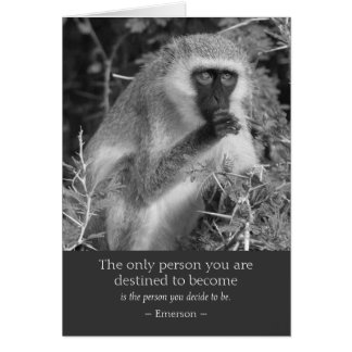 Monkey Quotes And Sayings. QuotesGram