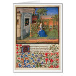 Emilia in the rosegarden cards