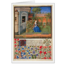 Emilia in the rosegarden cards