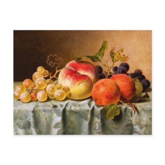 Emilie Preyer: Fruits with Fly