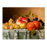 Emilie Preyer: Fruits with Fly postcards