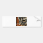 Emily My Cat Bumper Sticker