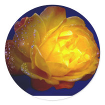 Emily Winter copy.jpg Rain Drops Rose stickers by emilyrosey Emily Winter copy.jpg Rain Drops Rose stickers