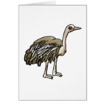 Emma Emu Cards
