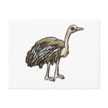 Emma Emu Post Card