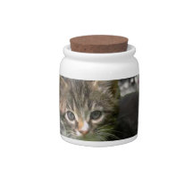 Emma in Butterflies I - Gray Tabby Kitten Candy Jars