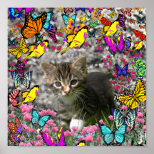 Emma in Butterflies I - Gray Tabby Kitten Poster