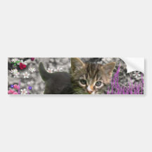 Emma in Flowers I – Little Gray Kitten Bumper Stickers