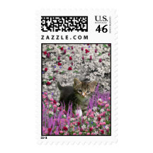 Emma in Flowers I – Little Gray Kitten Postage