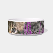 Emma in Flowers I – Little Gray Kitty Cat Pet Bowls