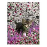 Emma in Flowers I – Little Gray Kitty Cat Post Cards