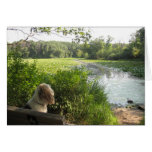 Emma Reflecting Card cards