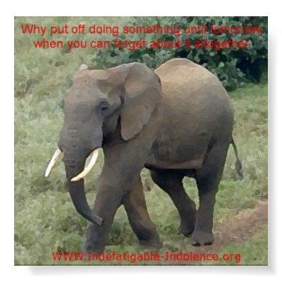 Emmet The Elephant On Procrastination Poster by waynefrost