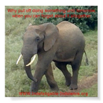 Emmet The Elephant On Procrastination posters