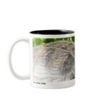 Emmy 01 mugs