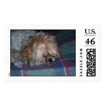 Emo puppy postage