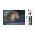 Emo puppy postage by Jonowinn Emo puppy postage