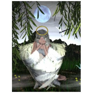 Emotions-I wept postcard