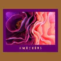 Emotions posters