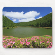 Empadadas - Azores mousepad mousepad