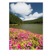 Empadadas Lakes - Azores Greeting Cards