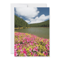 Empadadas Lakes - Azores Announcement