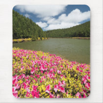 Empadadas Lakes - Azores Mouse Pads