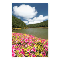 Empadadas Lakes, Azores
