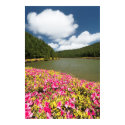 Empadadas Lakes, Azores posters by gavila_pt Empadadas Lakes, Azores posters