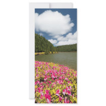 Empadadas Lakes - Azores Full Color Rack Card