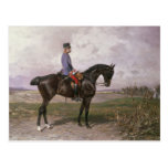 Emperor Franz Joseph I on his Austrian horse Post Card