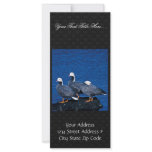 Emperor Geese at Adak Island Clam Lagoon Custom Rack Cards