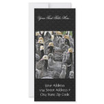 Emperor Goose Round-up Custom Rack Card