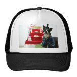 Emperor Hats