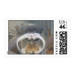 Emperor Monkey postage