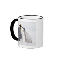Emperor penguin (Aptenodytes forsteri), chick Mug