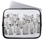 Emperor penguin (Aptenodytes forsteri), group of Laptop Sleeve