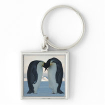 Emperor Penguin Courtship Keychains