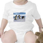 Emperor Penguins Baby Creeper