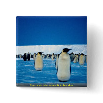 Emperor penguins by moonlight, Antarctica Buttons
