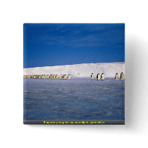 Emperor penguins by moonlight, Antarctica Pins