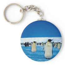 Emperor penguins by moonlight, Antarctica Key Chain