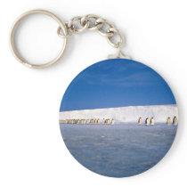 Emperor penguins by moonlight, Antarctica Key Chains