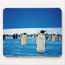 Emperor penguins by moonlight, Antarctica Mousepads