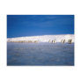 Emperor penguins by moonlight, Antarctica Post Card